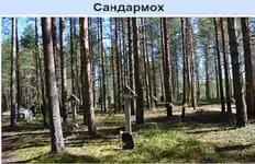 нельзя включать в знак обслуживания